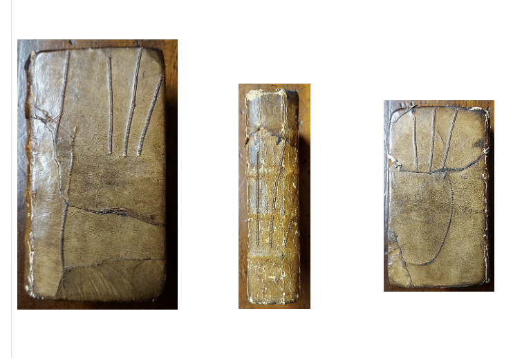 260518_glove_binding_2.png