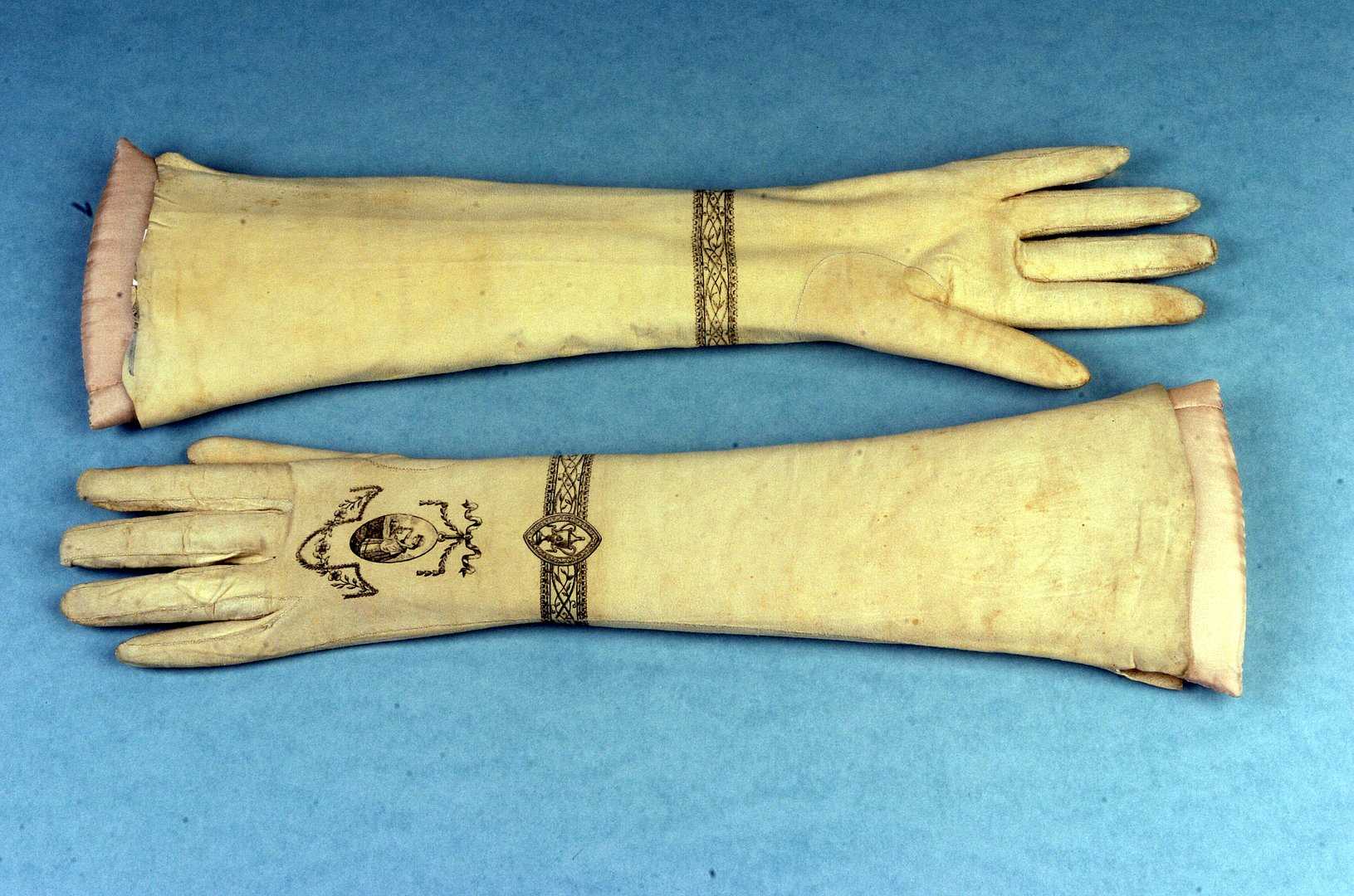 Glove_Feb_21_A.jpg